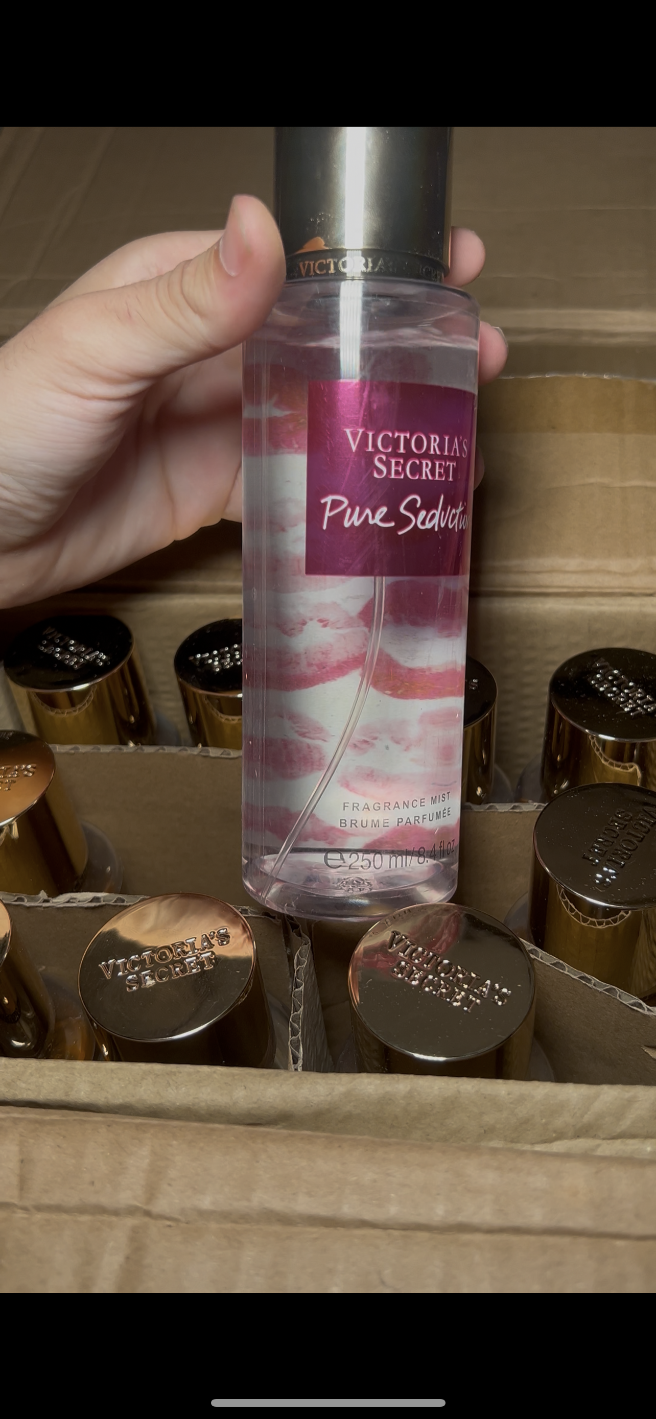 OFFRE Brume VICTORIA USA